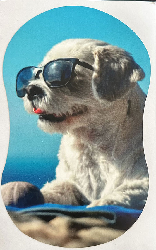 Puppy with Sunglasses